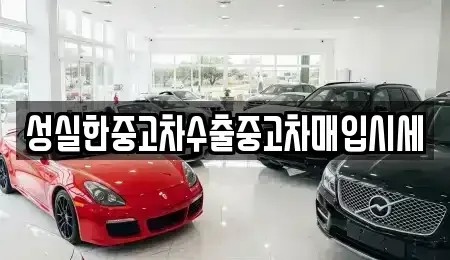 경상북도 포항시 남구 이동 중고차 전문 성실한중고차수출중고차매입시세