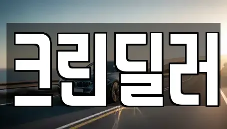 경상북도 포항시 남구 이동 중고차 전문 크린딜러