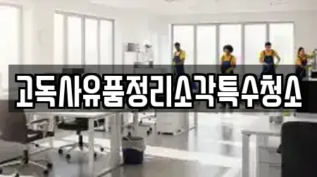 고독사유품정리소각특수청소