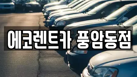 광주광역시 남구 임암동 렌트카 전문 에코렌트카 풍암동점