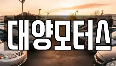 광주광역시 남구 임암동 중고차 전문 대양모터스