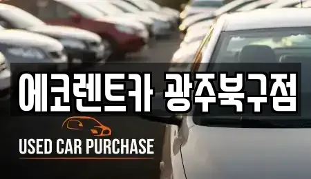 광주광역시 북구 두암동 장기렌트카 전문 에코렌트카 광주북구점