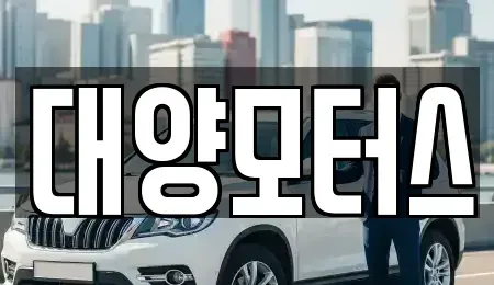 광주광역시 북구 두암동 중고차매매 전문 대양모터스