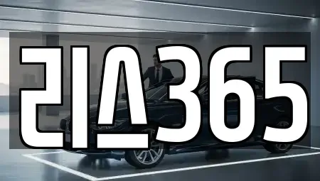 광주광역시 서구 농성동 장기렌트카 전문 리스365