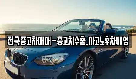 광주광역시 서구 농성동 중고차 전문 전국중고차매매-중고차수출,사고노후차매입