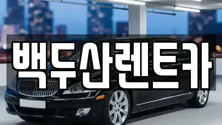 광주광역시 서구 세하동 렌트카 전문 백두산렌트카