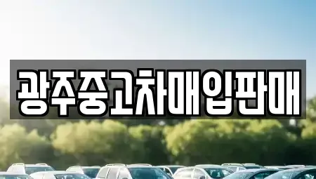 광주광역시 서구 세하동 중고차매매 전문 광주중고차매입판매