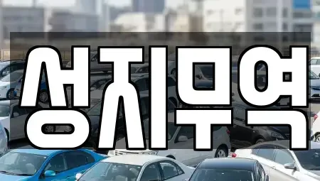 광주광역시 서구 세하동 중고차매매 전문 성지무역