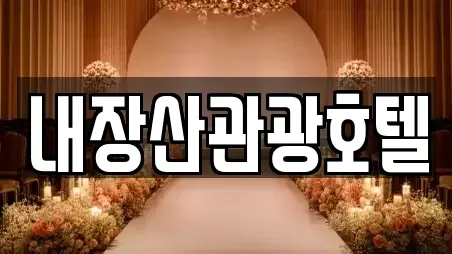 전북특별자치도 순창군 복흥면 웨딩메이크업 후기 모음 1