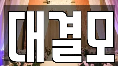 대결모