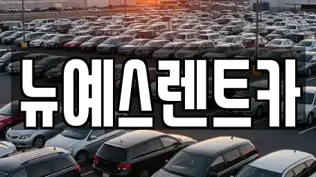 대구 달성군 현풍읍 렌트카 전문 뉴예스렌트카