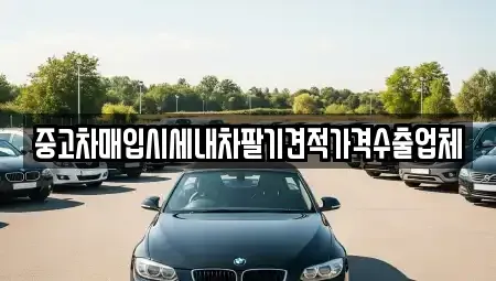 대구 달성군 현풍읍 중고차 전문 중고차매입시세내차팔기견적가격수출업체