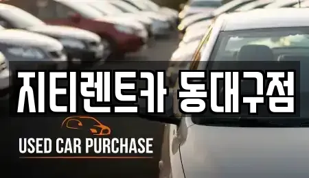 대구 동구 부동 렌트카 전문 지티렌트카 동대구점