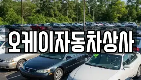 대구 동구 부동 중고차매매,단기렌트카,중고차매입,장기렌트카,중고차,렌트카