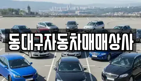 대구 동구 불로동 중고차 전문 동대구자동차매매상사
