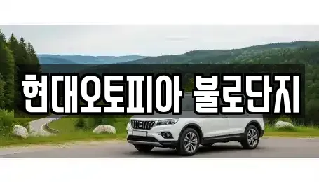 대구 동구 불로동 중고차 전문 현대오토피아 불로단지