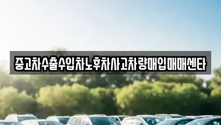 대구 동구 불로동 중고차매입 전문 중고차수출수입차노후차사고차량매입매매센타