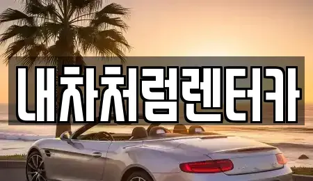 대구 동구 입석동 렌트카 전문 내차처럼렌터카