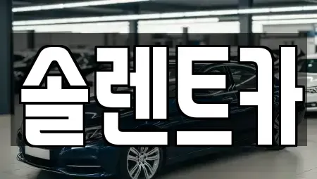 대구 동구 입석동 렌트카 전문 솔렌트카