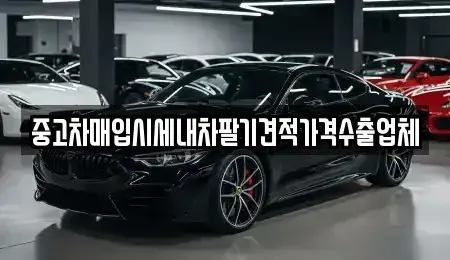 대구 동구 입석동 중고차매입 전문 중고차매입시세내차팔기견적가격수출업체