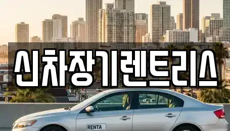 대구 북구 노원동1가 렌트카 전문 신차장기렌트리스