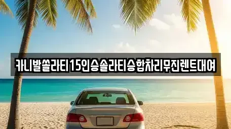 대구 북구 노원동1가 렌트카 전문 카니발쏠라티15인승솔라티승합차리무진렌트대여