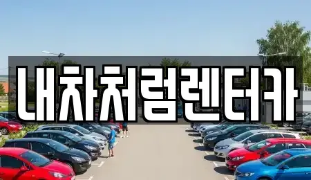 대구 북구 서변동 렌트카 전문 내차처럼렌터카