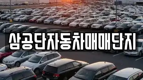 대구 북구 서변동 중고차매매 전문 삼공단자동차매매단지