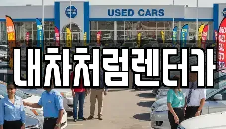 대구 중구 달성동 렌트카 전문 내차처럼렌터카