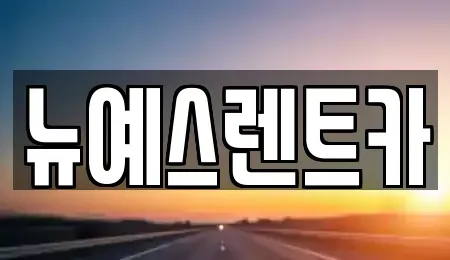 대구 중구 달성동 렌트카 전문 뉴예스렌트카