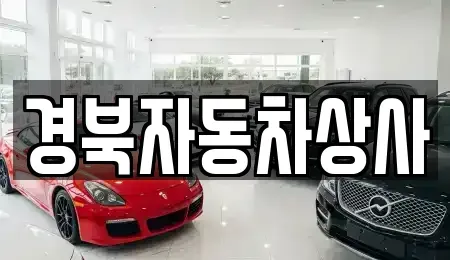 대구 중구 달성동 중고차 전문 경북자동차상사