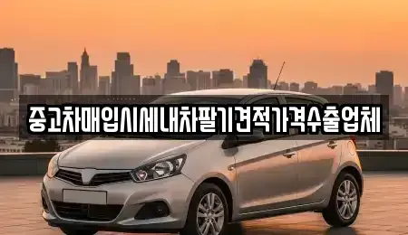 대구 중구 달성동 중고차 전문 중고차매입시세내차팔기견적가격수출업체