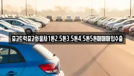 대구 중구 달성동 중고차 전문 중고트럭중고화물차1톤2.5톤3.5톤4.5톤5톤매매매입수출