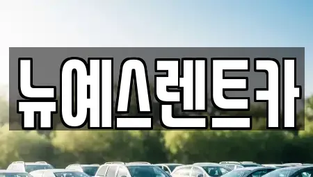 대구 중구 대안동 렌트카 전문 뉴예스렌트카