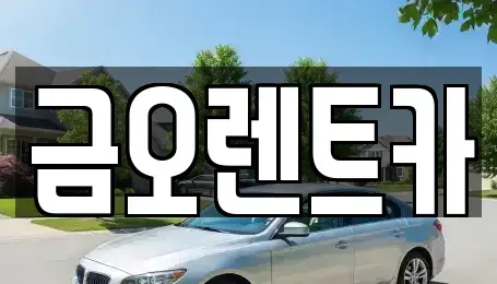 대구 중구 대안동 장기렌트카 전문 금오렌트카