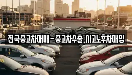 대구 중구 대안동 중고차 전문 전국중고차매매-중고차수출,사고노후차매입