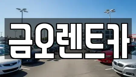 대구 중구 북내동 렌트카 전문 금오렌트카