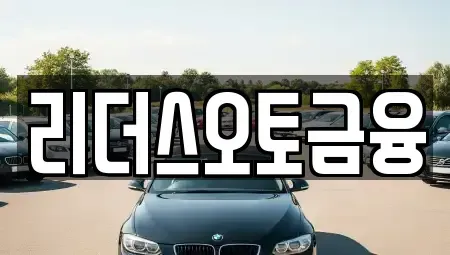 대구 중구 북내동 렌트카 전문 리더스오토금융