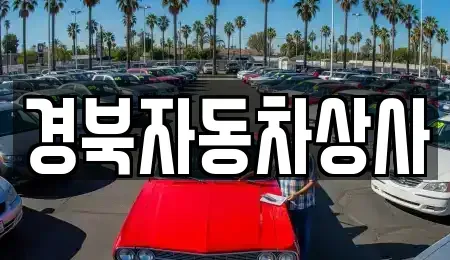 대구 중구 북내동 중고차 전문 경북자동차상사