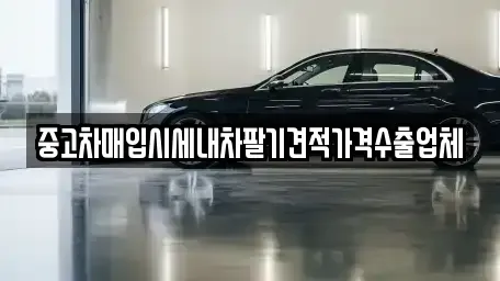 대구 중구 북내동 중고차 전문 중고차매입시세내차팔기견적가격수출업체