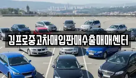 대구 중구 북내동 중고차매입 전문 김프로중고차매입판매수출매매센터