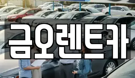 대구 중구 수창동 렌트카 전문 금오렌트카