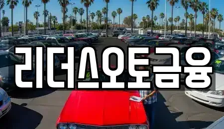 대구 중구 수창동 렌트카 전문 리더스오토금융
