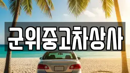 대구광역시 군위군 군위읍 중고차매매,단기렌트카,중고차매입,장기렌트카,중고차,렌트카