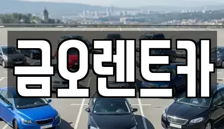 대구광역시 달서구 도원동 렌트카 전문 금오렌트카