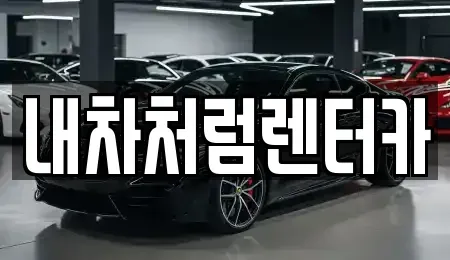 대구광역시 달서구 도원동 렌트카 전문 내차처럼렌터카
