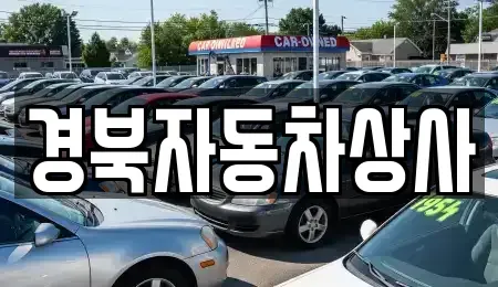 대구광역시 달서구 도원동 중고차매매 전문 경북자동차상사
