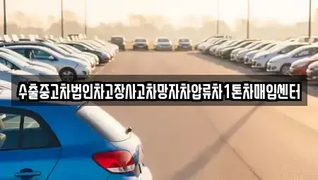 대구광역시 달서구 도원동 중고차매매,단기렌트카,중고차매입,장기렌트카,중고차,렌트카