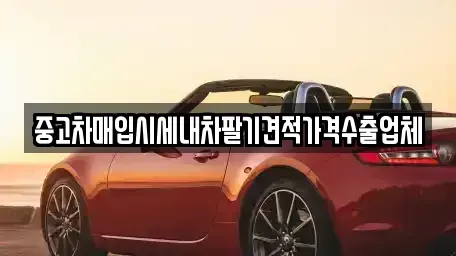 대구광역시 달서구 도원동 중고차매입 전문 중고차매입시세내차팔기견적가격수출업체