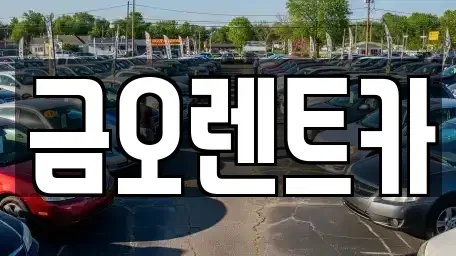 대구광역시 달서구 송현동 렌트카 전문 금오렌트카